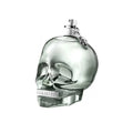 Police To Be Green Eau De Toilette Spray 40ml - By Mio Perfumería