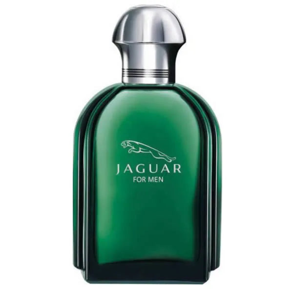 Jaguar For Men Eau De Toilette Spray 100ml - By Mio Perfumería