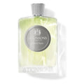 Atkinsons Mint & Tonic Eau De Parfum Spray 100ml - By Mio Perfumería
