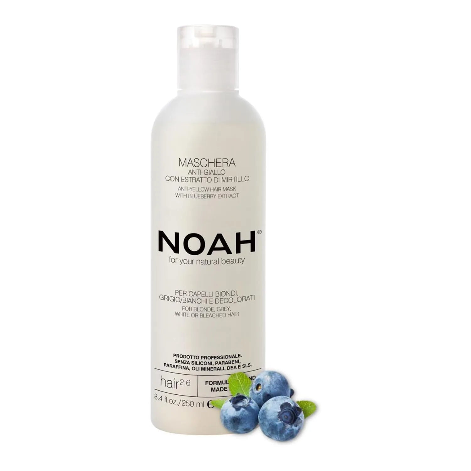 Noah Arandanos Anti-Amarillo Mascarilla Capilar 250ml - By Mio Perfumería