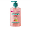 Sanytol Kitchen Hand Soap 250ml - By Mio Perfumería