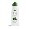 Phyto Nature Tea Tree School Shampoo 400ml - By Mio Perfumería