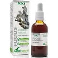 Soria Extracto Fucus S Xxi 50ml - By Mio Perfumería