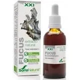 Soria Extracto Fucus S Xxi 50ml - By Mio Perfumería