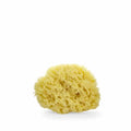 Lua & Lee Sponge 1 Unit - By Mio Perfumería